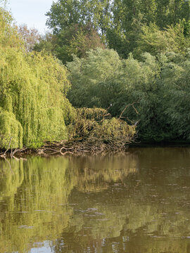 An der Berkel im M&uuml;nsterland