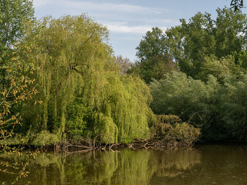 An der Berkel im M&uuml;nsterland