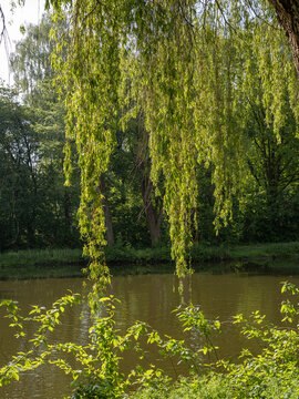 An der Berkel im M&uuml;nsterland
