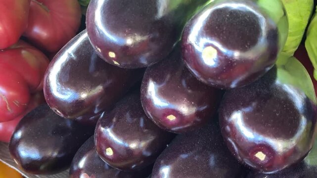 Beautiful shiny eggplants arranged on bazaar counter with ripe tomatoes and fresh vegetables in background creating rich seasonal market atmosphere close up.