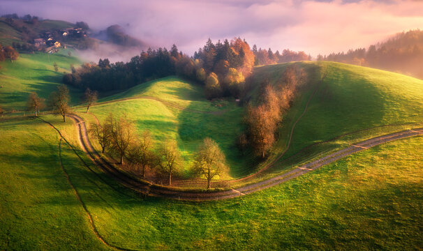 Aerial view of trees on alpine meadow, mountains in pink low clouds at foggy sunrise in summer. Top drone view of hills with green grass and trees in fog, purple sky at dawn. Slovenia. Landscape. Alps