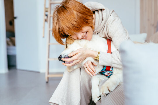 smiling mature woman cuddling golden retriever on sofa in bright nordic cabin. emotional support, pet therapy, calm lifestyle, cozy home atmosphere and mental wellbeing concept.