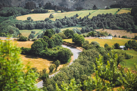 Elevated view over a winding countryside road through green trees, golden fields and small farm plots, showing peaceful rural scenery in summer light