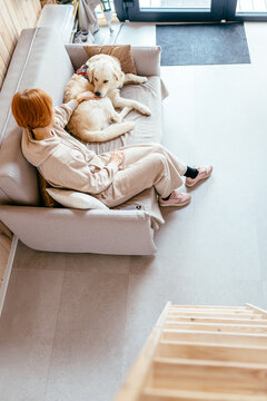 View from above of golden retriever try climbing wooden ladder in bright Scandinavian tiny house interior. Cozy pet friendly lifestyle, home comfort, playful curiosity and modern cabin living concept.