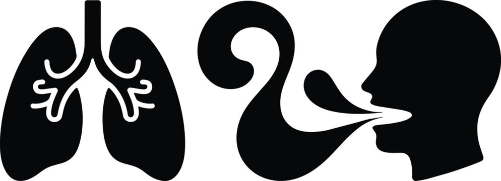 Human lungs and silhouette of a person exhaling, symbolic representation of breath and respiratory health in a clean