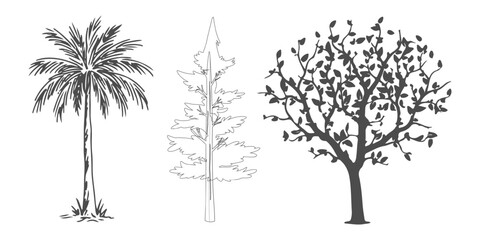 Fototapeta premium Minimal style CAD tree silhouette, trees elements outline symbol for architecture landscape design drawing. Tree Grunge vector, view, set of section wetland.