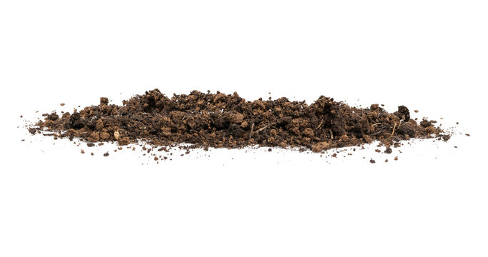 Soil Banner side view - Transparent PNG Background	