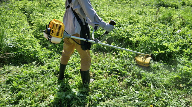 Woman using string trimmer to cut tall grass in a field during outdoor yard maintenance
