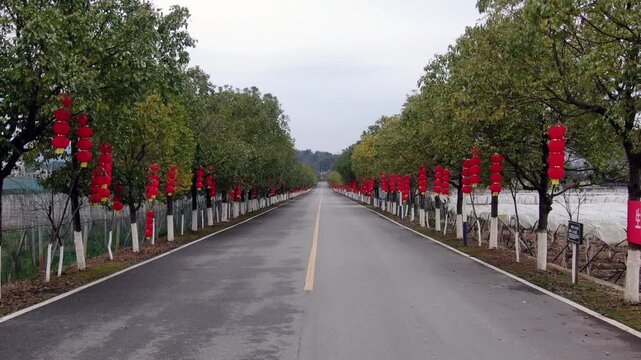 Empty Countryside Road Lined with Trees and Red Lanterns