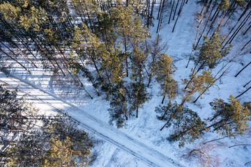 Sosnowy las zimą. Korony drzew, ziemia, leśne drogi pokryte są warstwą śniegu. Zdjęcie wykonane z wysokości przy użyciu drona. © boguslavus