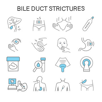 Digestive system disorder infographic with biliary diagnostic
