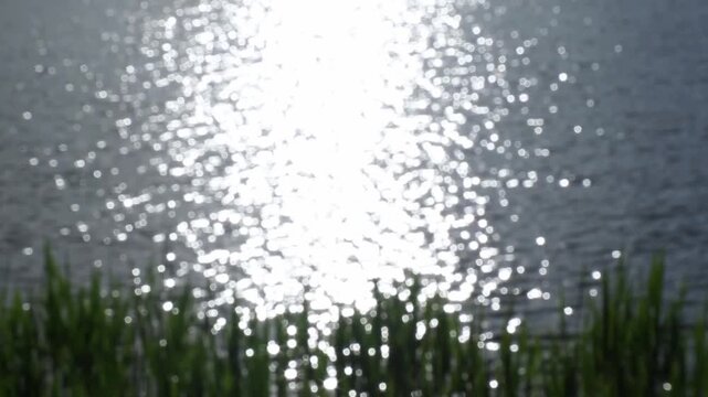Bright sunlight sparkles on the gently rippling water of the lake, and reflections constantly flicker and shift, creating dynamic bright highlights on the calm natural surface. No sharpness