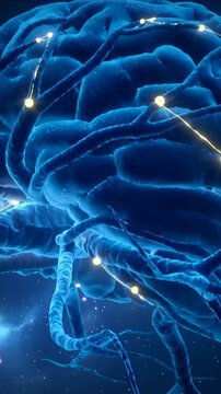 Vertical video: Rotating brain model in dark space showing pulsing nodes along neurites signaling