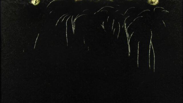 Time lapse of growing small onion bulb roots in a rhizobox. The onion bulb was growing and developed roots within 8 days
