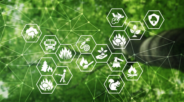 wildfire prevention & control illustration. Green concept with icons related to forest fire threats & damage, triggers & risk factors, emergency firefighting, ecological protection, reforestation.