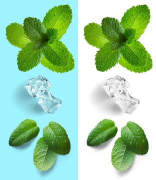 Art Clear ice cubes with fresh green mint sprig with neutral transparent shadow for design element on any color background , isolated on transparent background