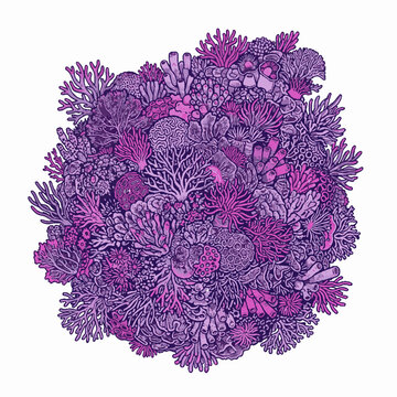 Intricate vector illustration depicting a vibrant coral reef cluster, showcasing diverse marine corals and sea anemones in rich shades of purple and pink, isolated on a clean white background.