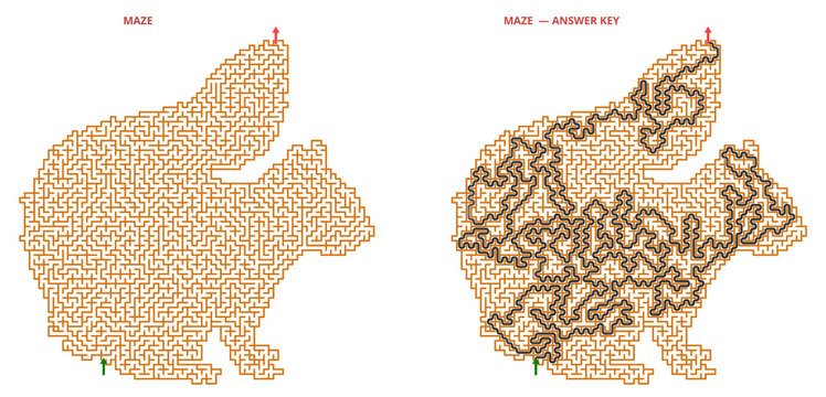 Squirrel silhouette maze puzzle with solved path and answer key, forest animal labyrinth activity sheet for children and adults on transparent background