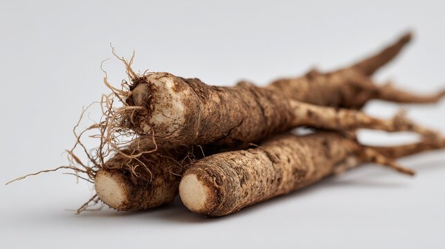 Natural burdock roots arranged on white backdrop for modern produce photography