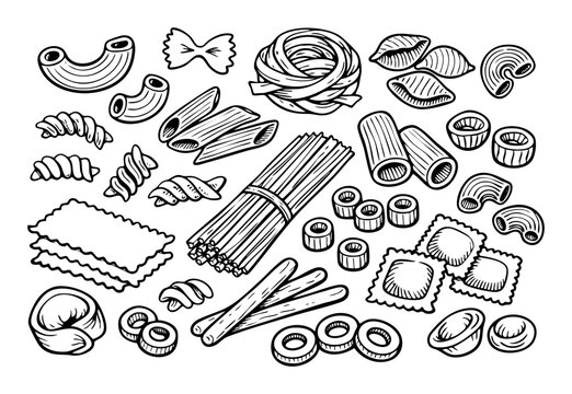 Italian pasta types arranged, showing various shapes like fusilli, rigatoni, conchiglie, orecchiette for culinary design