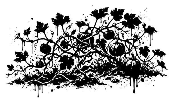 Pumpkin patch with growing vines and leaves in grunge ink splatter style