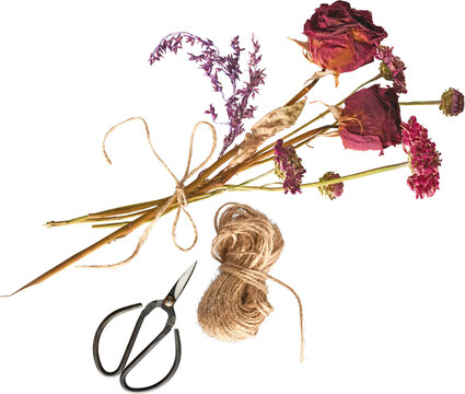 Dried Flower Bouquet with Twine and Scissors isolated on transparent background