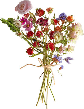 Dried wildflower bouquet with red amaranth and pink rose isolated on transparent background