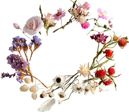 Dried wildflower wreath frame top view isolated on transparent background