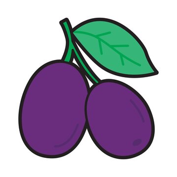 Cute jambul fruit illustration with green leaf in simple flat cartoon style isolated on light background