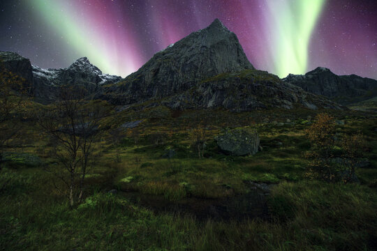 View of the aurora borealis dancing in vibrant green and purple hues over the rugged peaks of Lofoten Vagan Municipality, Nordland, Norway.