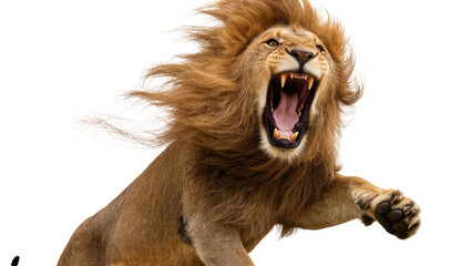 Isolated majestic lion mid-leap, roaring ferociously with powerful claws and flowing mane © Ioana