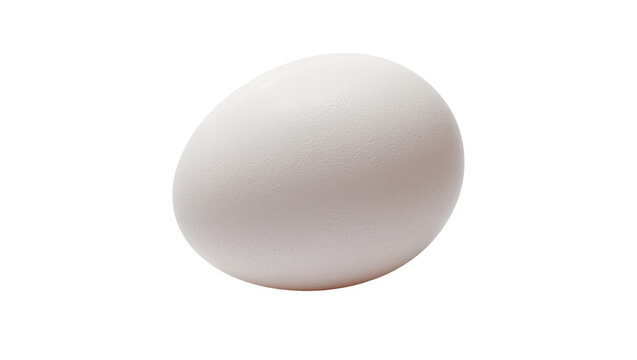Isolated fresh raw white chicken egg, healthy protein food ingredient for cooking