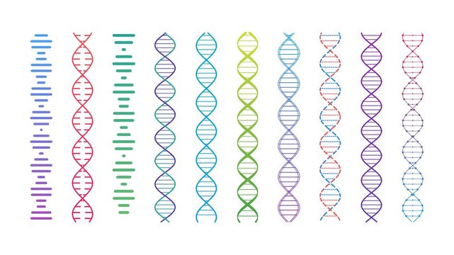 Dna Molecules in Motion with Multistyle Graphic Design on White Background