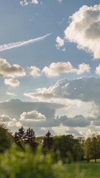 Vertical video: Camera pulling back revealing dewy grass swaying at park, showing cloud contrail
