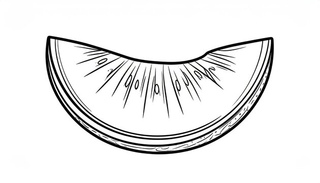 Simple hand drawn juicy melon slice on white background