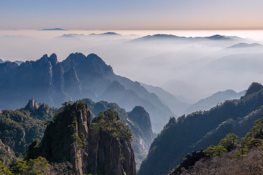 View of the jagged granite peaks and ancient pine trees of the Huangshan Mountains rising above a thick sea of clouds Huangshan City, Anhui, China.