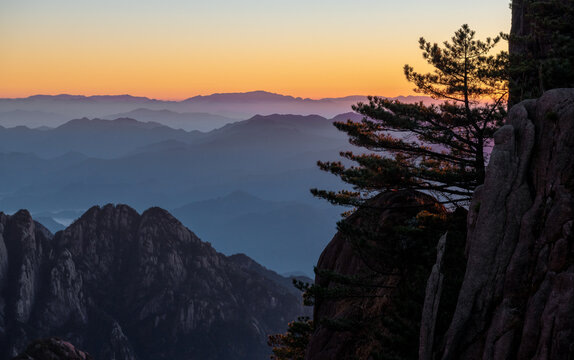 View of the majestic Yellow Mountains with silhouetted pine trees and jagged granite peaks under a golden sunset sky Huangshan City, Anhui, China.