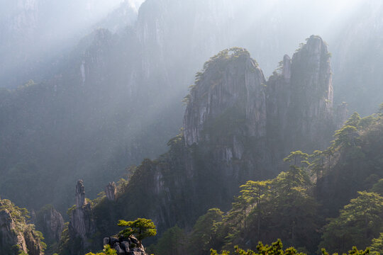 View of the steep granite peaks and gnarled pine trees shrouded in mist with sunbeams in Huangshan City, Anhui, China.