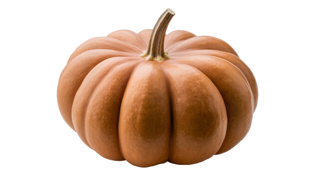 Isolated whole, natural pumpkin with a stem, symbolizing autumn harvest and holiday season
