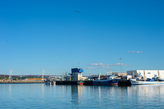 Commercial harbor  fishing boats Portugal