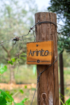 Schild mit der Aufschrift Arinto
