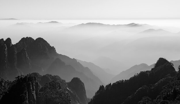 View of the misty peaks and sea of clouds at Huangshan with pine trees and jagged rock formations in black and white Huangshan City, Anhui, China.