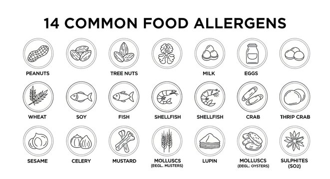Fourteen common food allergen icons on white background
