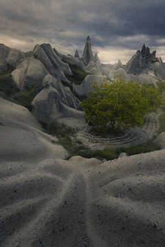 View of the unique fairy chimneys and volcanic rock formations of Cappadocia with a vibrant green tree under a dramatic cloudy sky Turkiye.