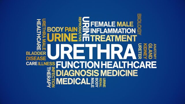 Urethra animated word cloud-text design animation tag kinetic typography seamless loop.