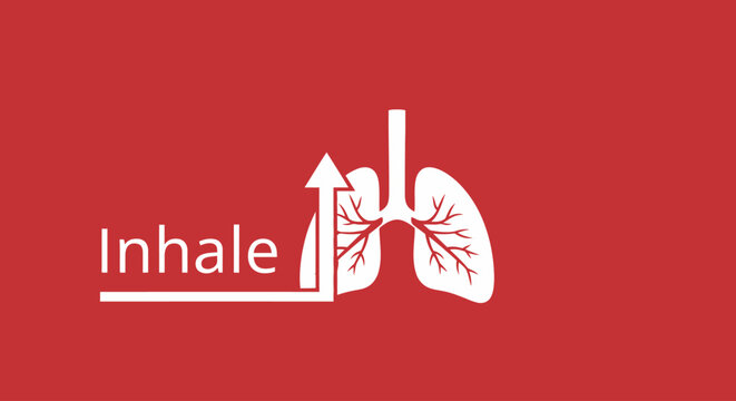 White lung icon with inhale text and arrow on red background.