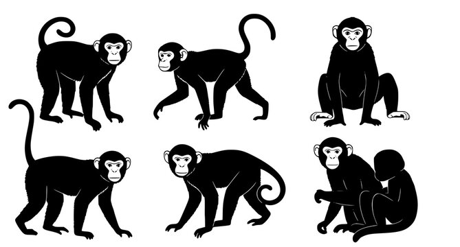 Monkey and primate silhouette icons featuring various poses for animal study and wildlife design projects as a minimalist black and white vector graphic collection for print and digital media