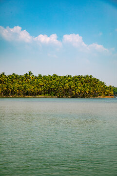 View of lush coconut palm trees lining the calm backwaters under a bright blue sky with white clouds in Kannur, Kerala, India.