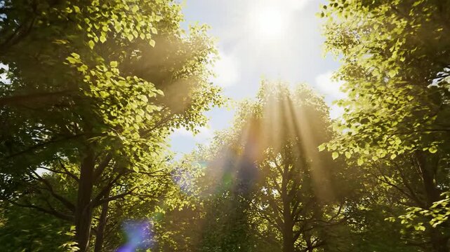 Sun rays filtering through lush green forest canopy, cinematic sunlight beams in woodland, peaceful nature background