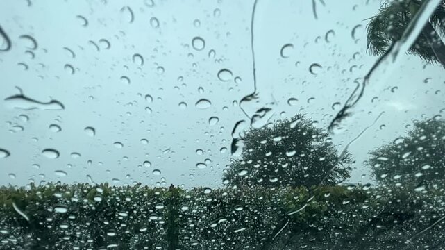 rain drops on window